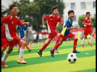 上海VS广厦直播_上海VS广厦免费在线直播_今晚！cctv5直播cba上海男篮VS浙江广厦，张镇麟PK胡金秋+孙铭徽